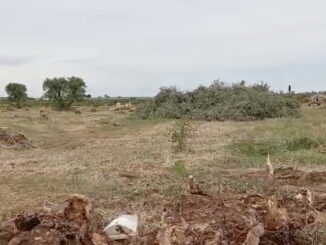 Basilicata