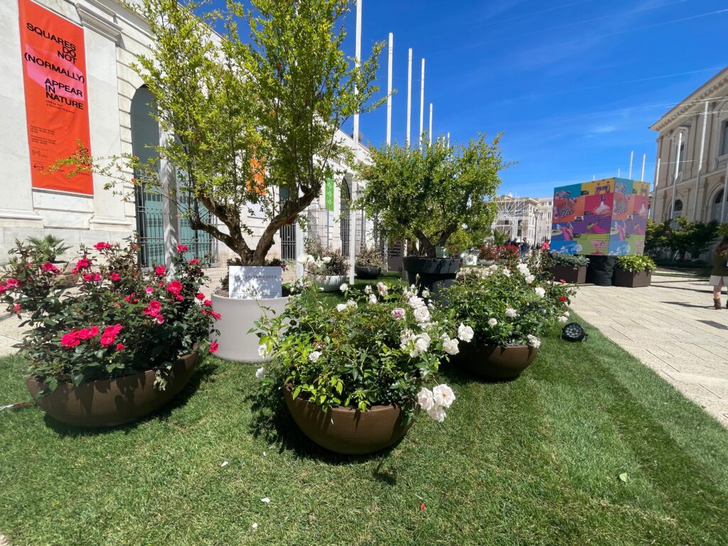 PRIMAVERA MEDITERRANEA INAUGURATA LA DECIMA EDIZIONE ‘OLTRE IL GIARDINO’ primavera