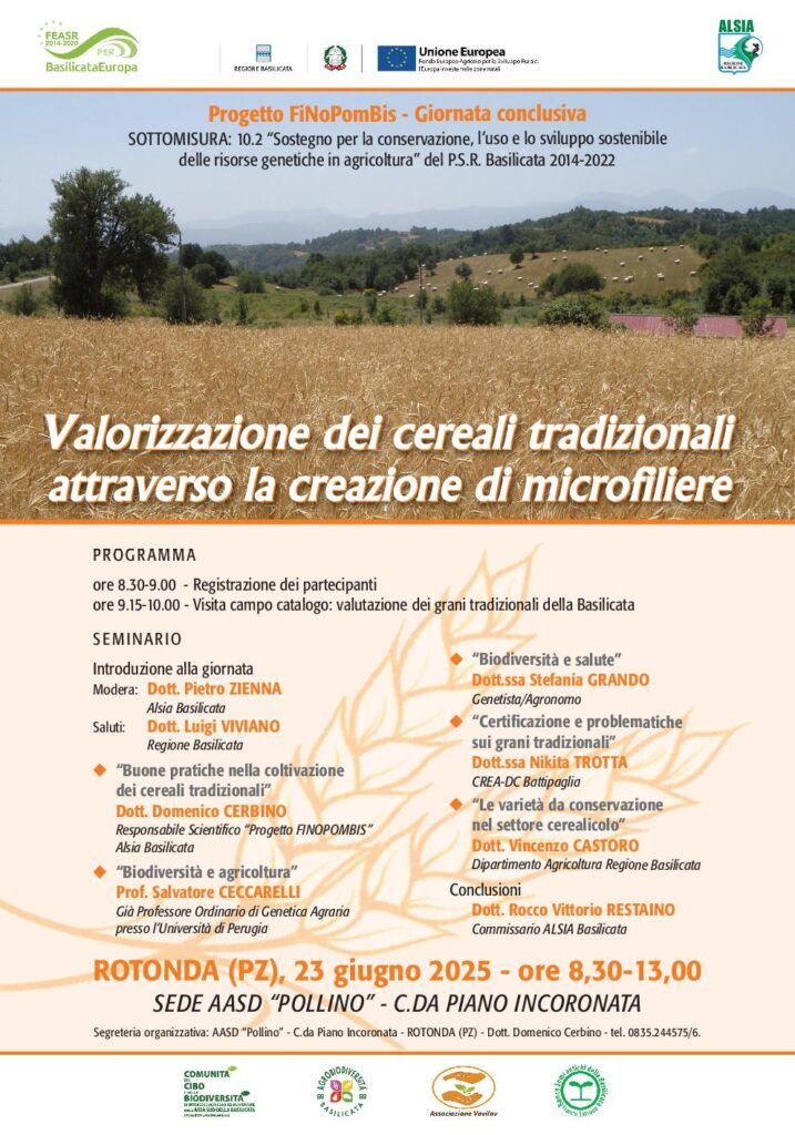 Alsia, a Rotonda seminario conclusivo progetto FiNoPombis su cerealicoltura e microfiliere