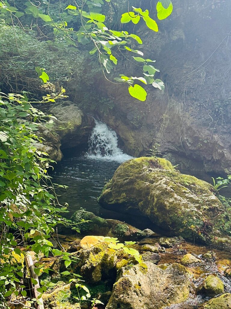 INIZIATI I LAVORI PER LA REALIZZAZIONE DI UN PERCORSO NATURALISTICO A VIETRI DI POTENZA