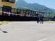 pollino
