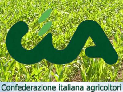 Ultime notizie Basilicata Matera Potenza Bari Foggia