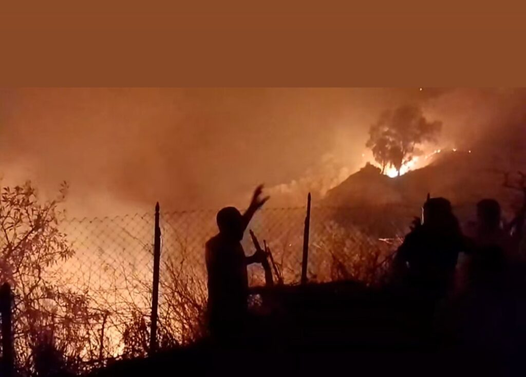TERRIBILE INCENDIO CHE HA COLPITO AMENDOLARA, LETTERA DI RINGRAZIAMENTO DEL SINDACO ARCH. MARIA RITA ACCIARDI