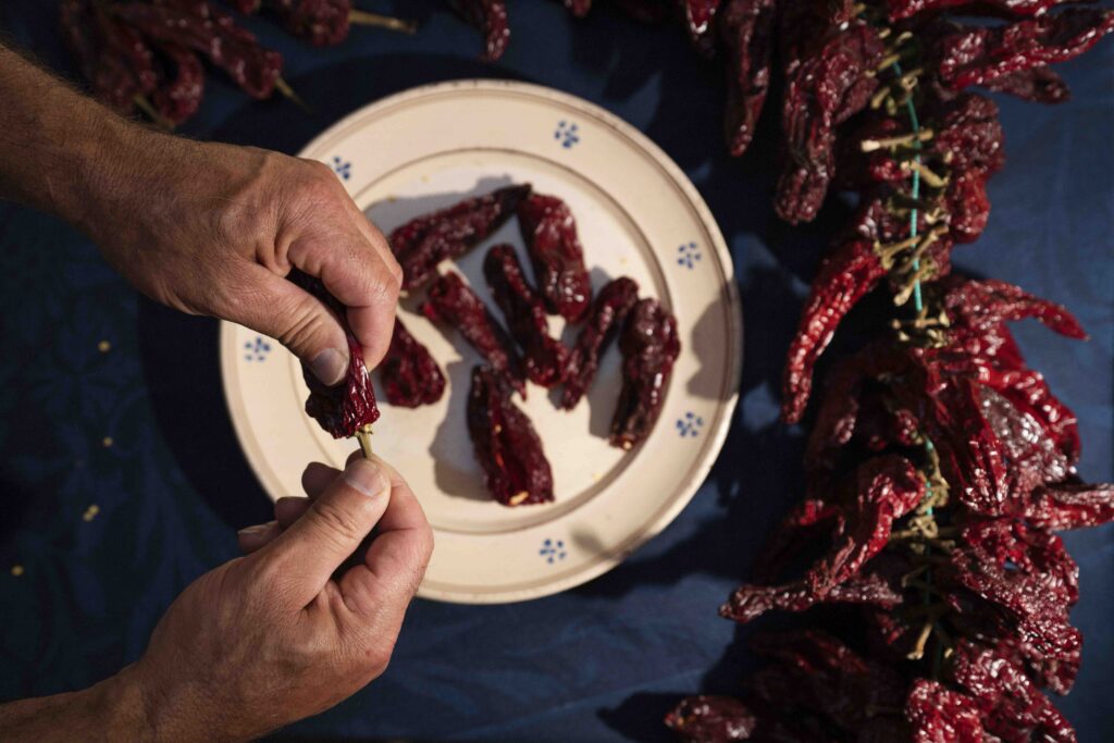 L’enogastronomia lucana protagonista della tre giorni in Basilicata dello chef Simone Rugiati: un food tour dedicato alla promozione del peperone crusco di Senise IGP, attraverso showcooking e iniziative esperienziali basilicata