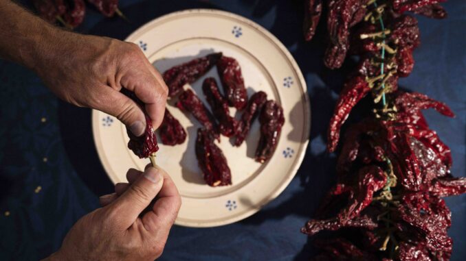 Basilicata - Guida National Geographic Travel