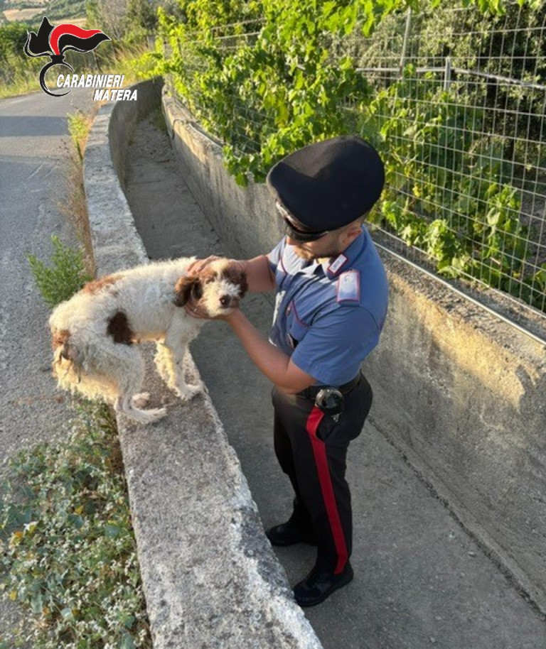 carabinieri