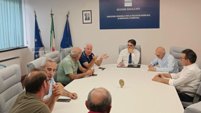 Ultime notizie Basilicata Matera Potenza Bari Foggia