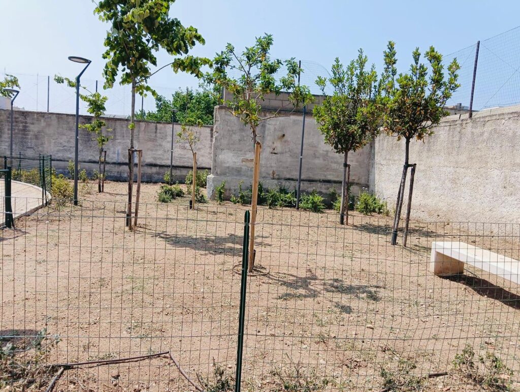 STERILIZZAZIONE SU BASE VOLONTARIA E GRATUITA DI CANI ‘MOLOSSOIDI’ E TERRIERE PULIZIA DI AREE SGAMBAMENTO DA FORASACCO RUSSO FRATTASI: “STRATEGIA CONTRO L’ABBANDONO E PER IL BENESSERE DEI NOSTRI CANI” pulizie